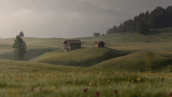 AI depth effect turning flat photos into 3D parallax wallpapers