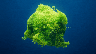 Video wallpaper demo showing smooth MP4 playback on Windows desktop